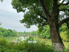 -西溪国家湿地公园