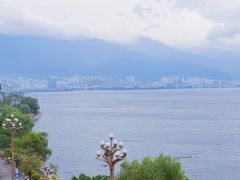 -野菌皇海景野生菌火锅(滨海大道店)
