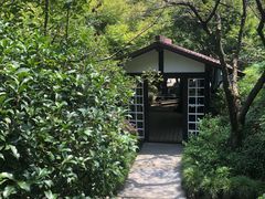 -中国茶叶博物馆(双峰馆区)