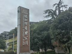 -铁山坪森林公园