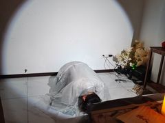 -上川阁剧本杀·狼人杀·血染钟楼(虹口店)