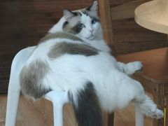 -白兔子密室(长寿路店)