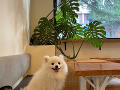 -小意思咖啡店(草桥店)