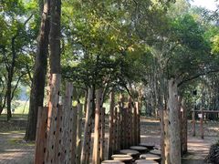 -南宁良凤江国家森林公园