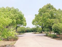 -苏州安宠宠物火化服务有限公司