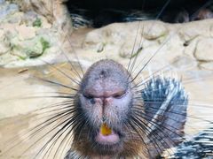 -海南热带野生动植物园