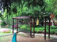 -协和实验幼儿园