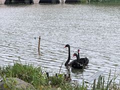 -昆山城市生态森林公园