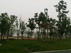 android_upload_pic-海宁鹃湖公园