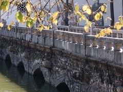 -苏州文庙(姑苏区)