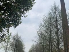 -祝甸砖窑文化馆