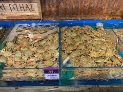 -开海·红岛海鲜虾水饺(石老人店)