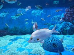 -成都浩海立方海洋公园