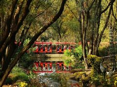 -上海共青森林公园