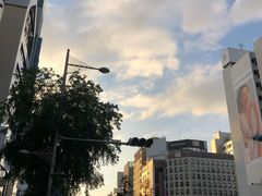 -川久保玲(大阪店)