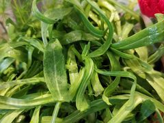 -老牌坊•鲁菜名店•地道济南菜(大观园商埠店)