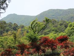 -北仑森林植物园