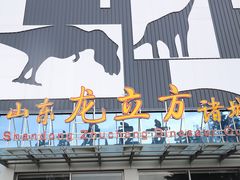 -诸城市恐龙博物馆