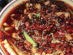 -雲蜀龙阁·金牌水煮鱼(方庄店)