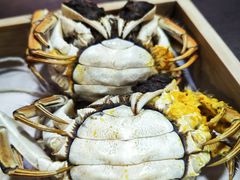 -黄记大闸蟹专卖店·活蟹·醉蟹