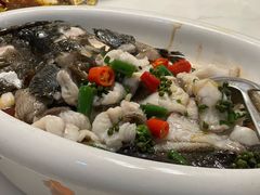 -陶缘一号·四季缘·老字号顺德菜·户外婚礼家宴(西滘店)