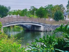 -林寨古村