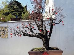 -龙华寺
