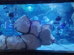 -南昌海洋公园