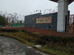 -南湖湿地公园
