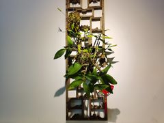 -庆合府重庆大排档(紫都城店)