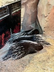 -酷嗒动物文化乐园(cutezoo西溪乐天城店)