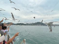 -海驴岛(荣成市)