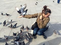 -圣马尔谷圣殿宗主教座堂