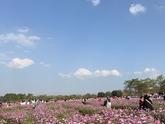 -海珠湖公园