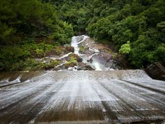 -广州白江湖森林公园