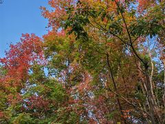 -长春市南湖公园