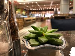 -食百绚全日制餐厅(成都棕榈泉费尔蒙酒店)
