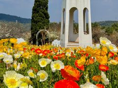 -名花谷生态庄园