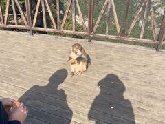 -重庆云阳龙缸景区