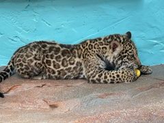 -北京野生动物园