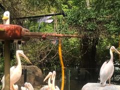 -灵玲国际马戏城