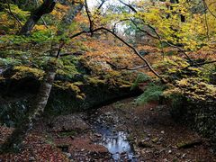 -醍醐寺