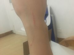 -灵美宠物诊所