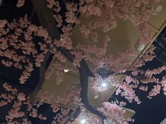 -上尚汤汤泉汗蒸(空港复悦里店)