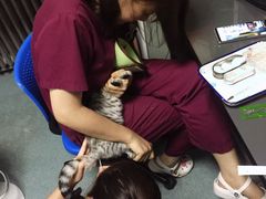 -美联众合爱康动物医院•复杂内科•肿瘤科•牙科•腔镜诊疗中心