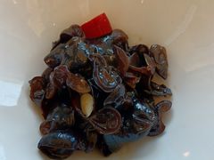 -骏莱海鲜鱼港(五角场店)