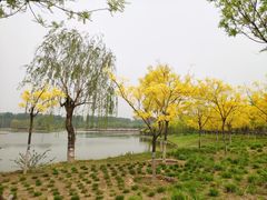 -东郊湿地公园