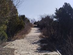 -水池山公园