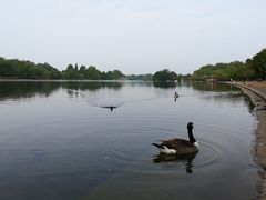 -海德公园