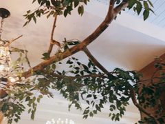 -樾餐厅泰式海鲜火锅(民歌湖店)